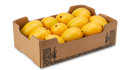 ripe indian organic yellow mango arrange in box, closeup isolated, known in india as kesar, hapus, totapuri, amrapali or alphonso, top view,   in transparent background          
