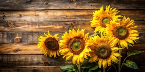 Obraz premium Vibrant sunflower stems and large yellow blooms against a rustic wooden board background with natural textures and warm lighting effects, rustic charm, flower arrangement