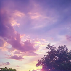 Fototapeta premium Vivid Purple and Pink Sunset Sky Paints a Dramatic Canvas with Wispy Clouds and Silhouette of Tree