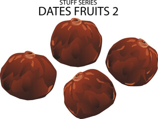 dates fruit vector illustrations 