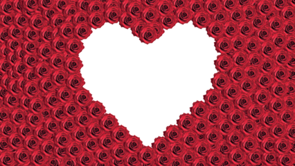 red rose with heart frames background