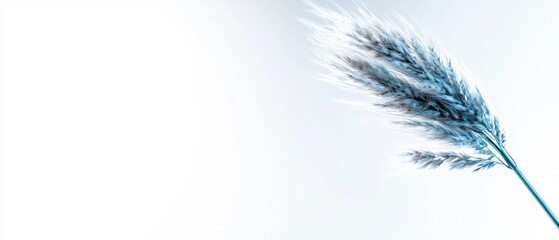 Stylish Pampas Grass Branch  Minimal Home Decor  Neutral Background