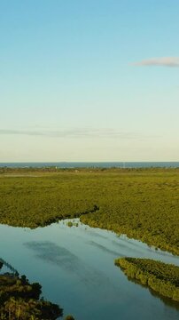 Aerial view of greenery forest in Olango Island Wildlife Sanctuary. Lapu-Lapu, Philippines. Vertical view.