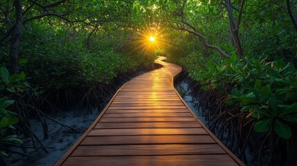 Enchanting Wooden Boardwalk Cutting Through Lush Forest Canopy, Nature Walkway in Dense Foliage
