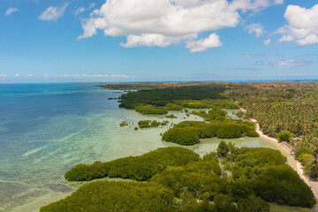 Beaches with white sands and mangrove garden in Bantayan Island. Cebu, Philippines.