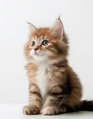 右下隅に座るふわふわの子猫が、春の陽だまりのような優しさを感じさせる一枚
