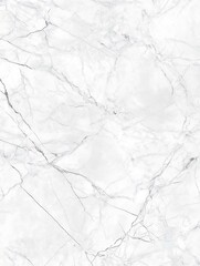 Fototapeta premium Background Concept Elegant white marble texture with subtle gray veining, perfect for backgrounds or designs.