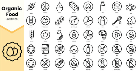 A collection of 40 line icons representing organic food items and dietary restrictions in a minimalistic style.
