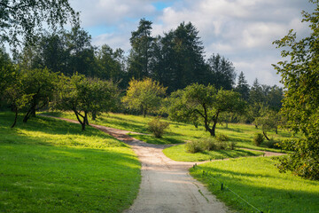 View of the alley through the apple orchard in the Mikhailovskoye Estate of the Pushkin...