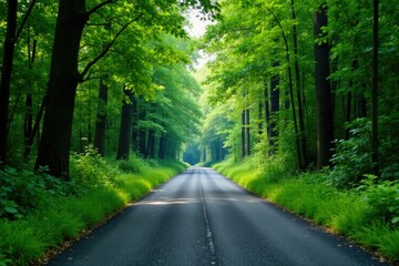 Fototapeta premium overgrown roadsides with trees and weeds growing alongside an asphalt road, asphaltpavement, denseforest, foliage