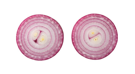 Inside an Onion: A Closer Look at Its Structure