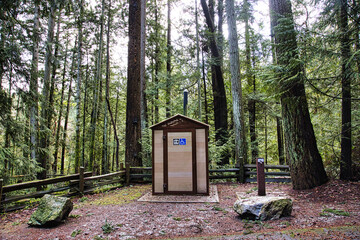 Trail leading us to makeshift restrooms in a provincial park on Vancouver Island, british colombia, canada