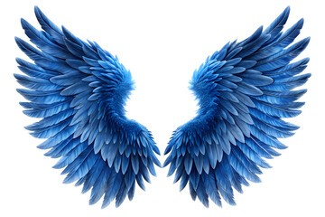 Obraz premium blue wings isolated on white background