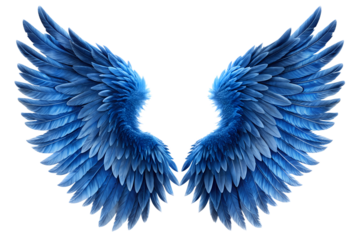 blue wings isolated on white background