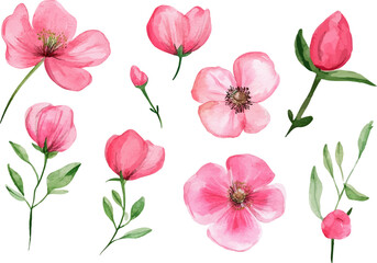 seamless pattern with tulips