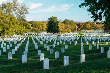 Rows of White Headstones in Arlington National Cemetery