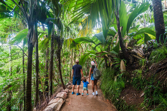 Mixed ethnicity family walking in the tropical rainforest, Praslin island, Seychelles