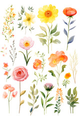 Digital watercolor flowers clipart set print pattern flower abstract graphic poster background