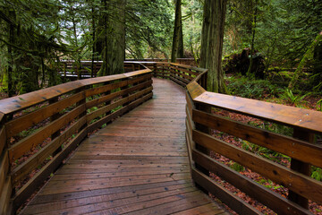 wooden bridge on forest trail in BC