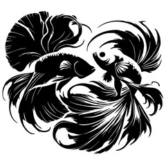 Betta fish fighting silhouette