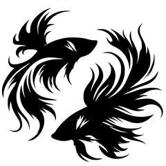 Silhouette of two beautiful betta fish