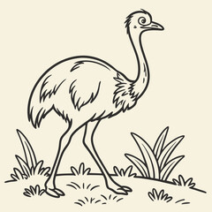 vector illustration of an ostrich
