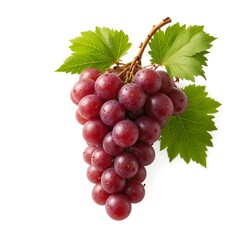 Nature's Bounty A Cluster of Luscious red Grapes  