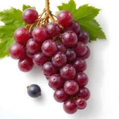 Fototapeta premium Nature's Bounty A Cluster of Luscious red Grapes 