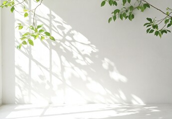 Natural light casting shadows on white wall indoor space photography minimalist environment close-up concept