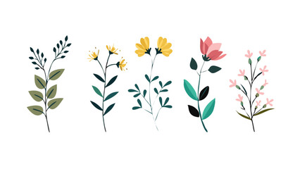 Set of floral branch and minimalist flowers, botanical rustic trendy greenery illustration collection, flowers on a white background