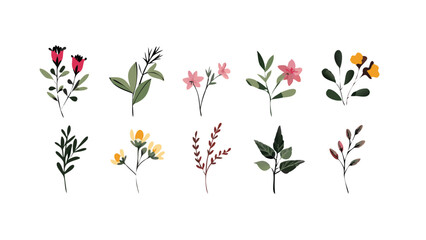 Set of floral branch and minimalist flowers, botanical rustic trendy greenery illustration collection, set of tulips