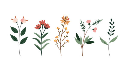 Fototapeta premium Set of floral branch and minimalist flowers, botanical rustic trendy greenery illustration collection, bouquet of tulips