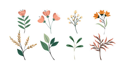 Set of floral branch and minimalist flowers, botanical rustic trendy greenery illustration collection, flowers and leaves