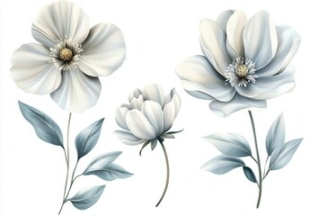 Fototapeta premium White, blue flowers, botanical, digital art, isolated, design, background, decor, print