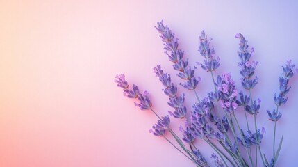 Naklejka premium Delicate Lavender Bouquet in Pastel Colors