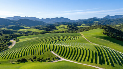 Lush green rolling hills with patterned fields under clear blue sky