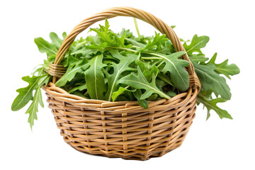 Naklejka premium Fresh arugula in a wicker basket