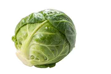 Fototapeta premium Fresh Brussels Sprout