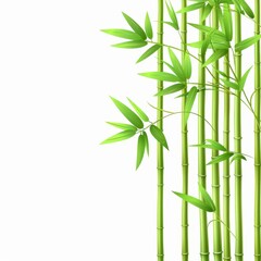 Naklejka premium Lush green bamboo stalks with vibrant leaves.