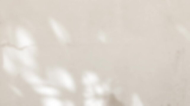 Shadow beige background wall light white overlay abstract plant 4k backdrop mockup minimal summer wallpaper, blur nature spring autumn video vintage branching floral, card holidays summer spring.