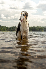 Fototapete bei efototapeten.de bestellen   
