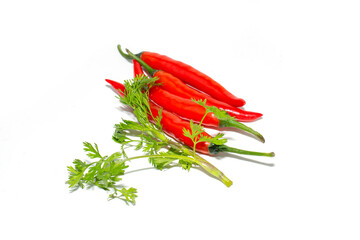 Red chili pepper isolated on white background. Chili hot pepper whole. Chili Clipping Path. Full depth of field.