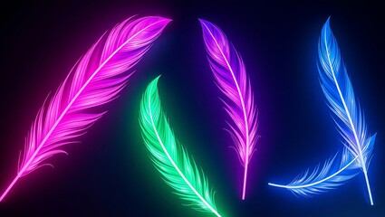 Fototapeta premium colorful feathers on black background