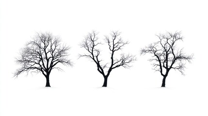 Winter bare trees silhouettes, white background, nature design