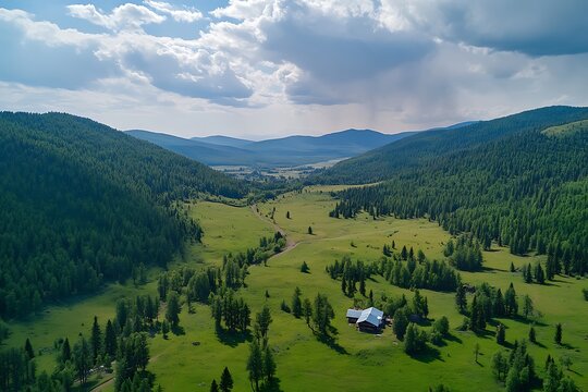 Aerial view of the summer landscape in the Carpathian mountains - Powered by Adobe