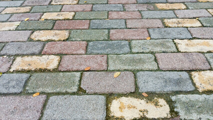 Colorful brick road. Concept of sidewalk or paving road.