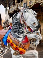 Merry Go Round Horse