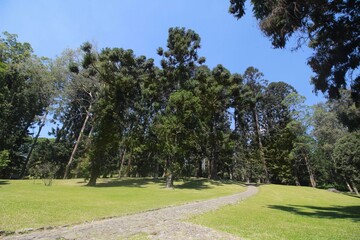 beautiful landscape of cibodas botanical garden in west java indonesia