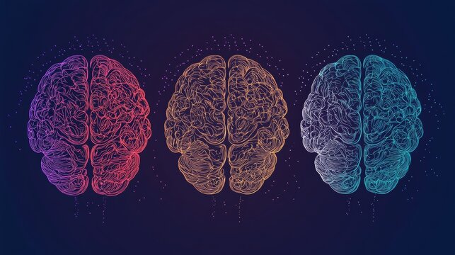 96.An editable vector illustration of a brain in three unique styles: a wireframe outline, a solid filled design, and a colored representation with a subtle 3D effect.