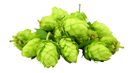 Obraz premium Fresh Green Hops for Craft Beer Brewing Industry